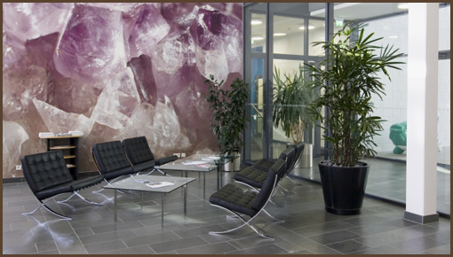 Digital wall coverings